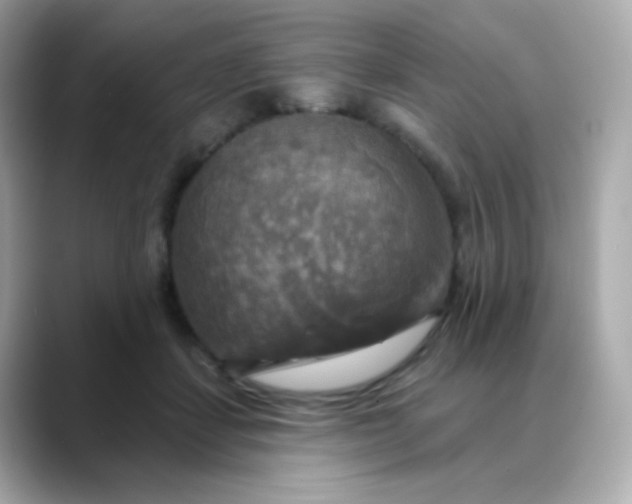 X0000088390459200706051120