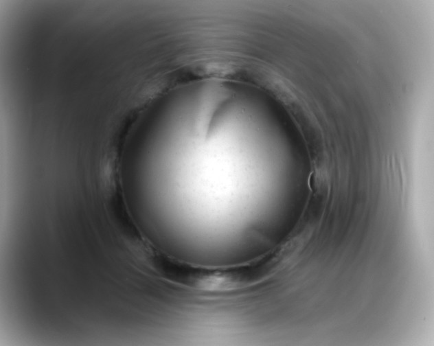 X0000088390460200706051120