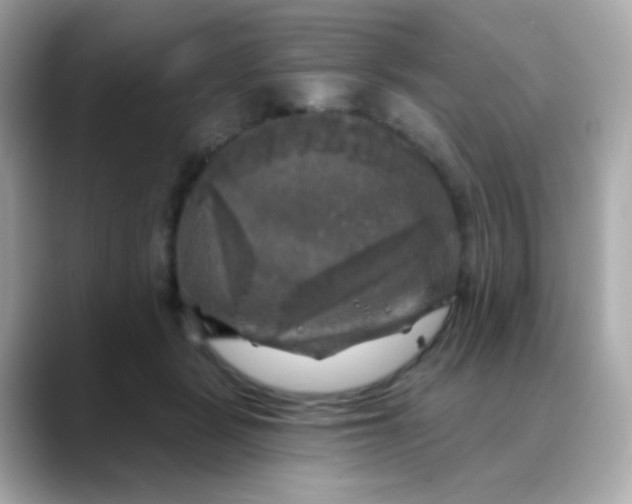 X0000088390461200706051120