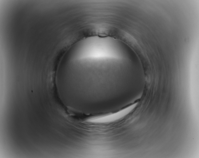 X0000088390462200706051120