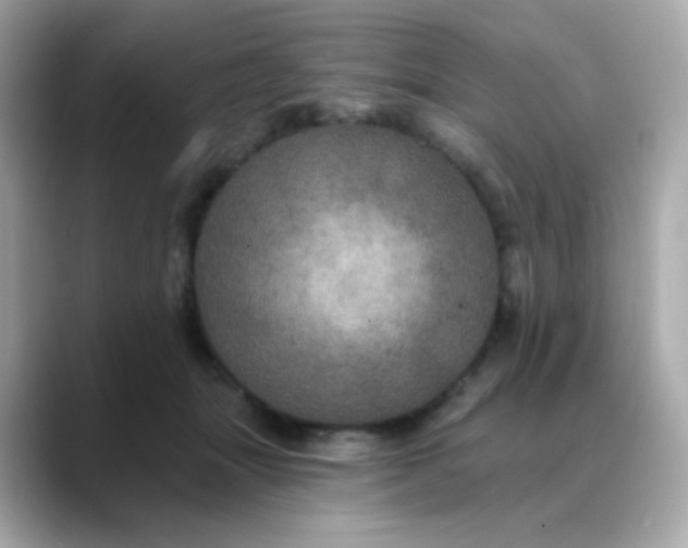 X0000088390463200706051120