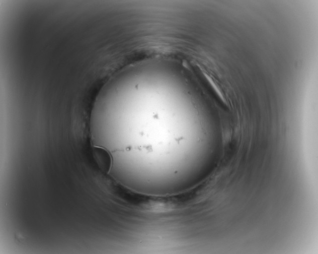 X0000088390464200706051120