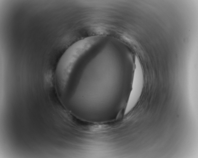 X0000088390465200706051120