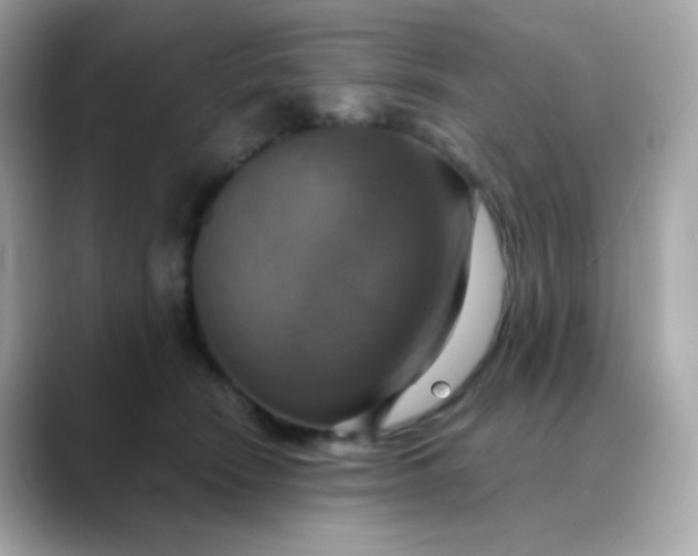 X0000088390466200706051120