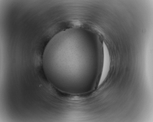 X0000088390467200706051121