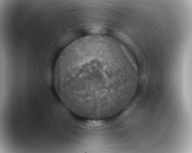 X0000088390469200706051121