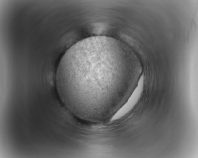 X0000088390470200706051121