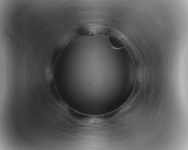 X0000088390471200706051121