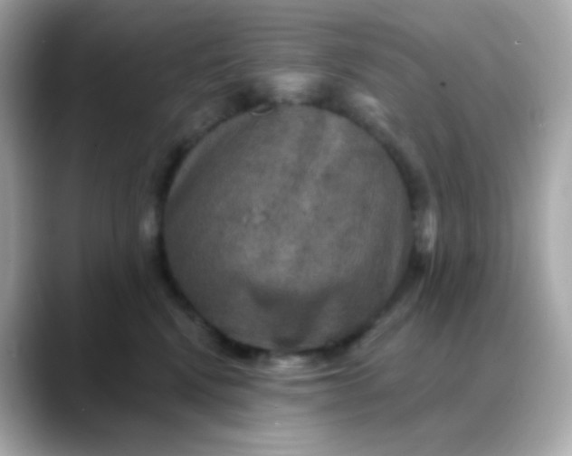 X0000088390472200706051121