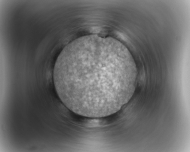 X0000088390473200706051121