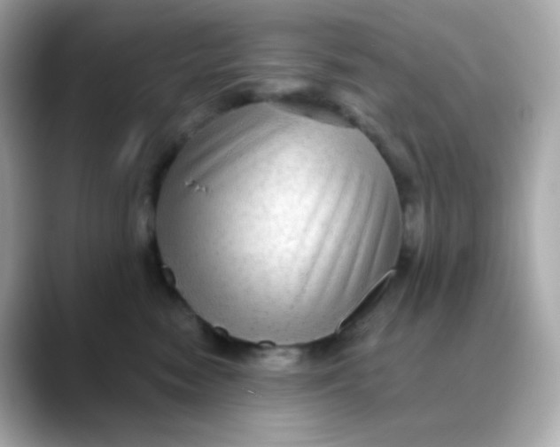 X0000088390474200706051121