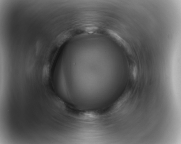 X0000088390475200706051121