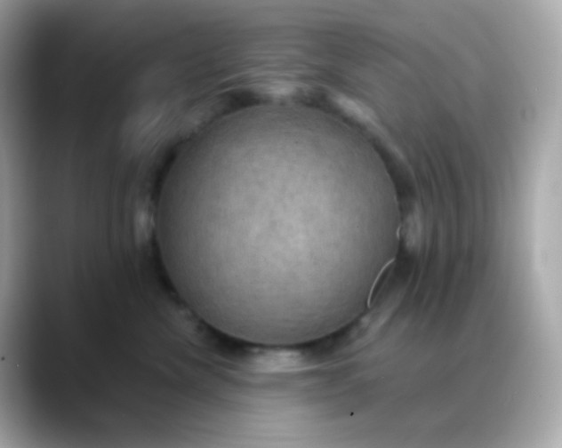 X0000088390476200706051121