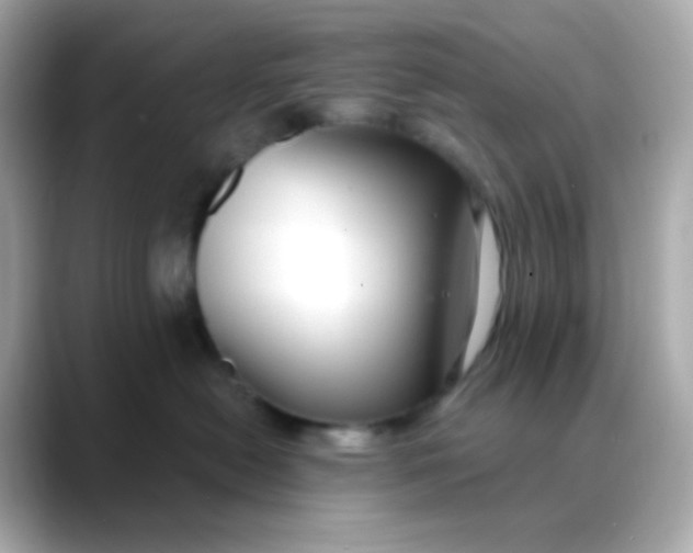 X0000088390478200706051121