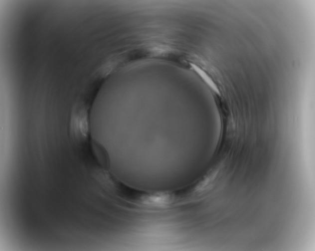 X0000088390479200706051121