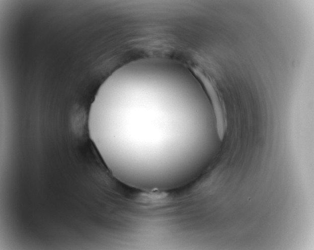 X0000088390480200706051121