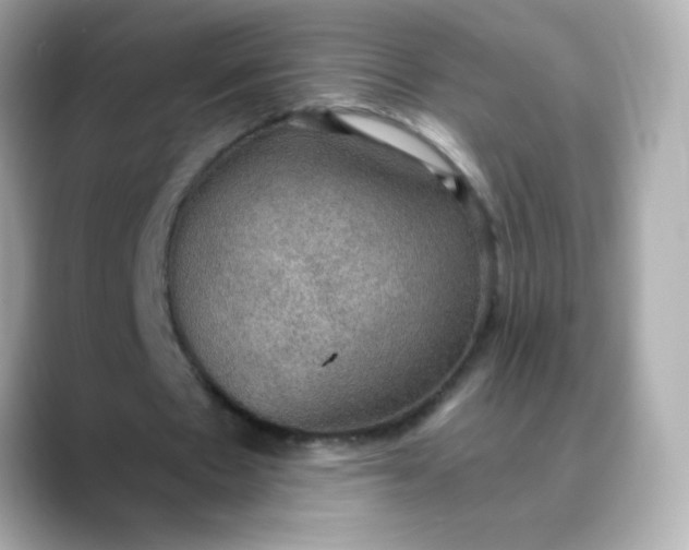 X0000088390481200706051120