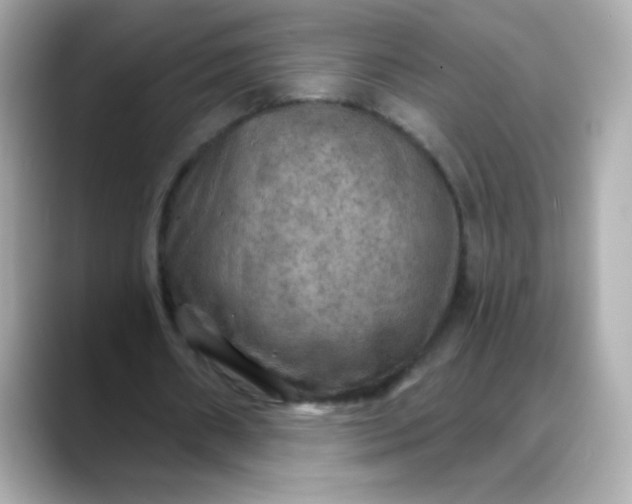 X0000088390482200706051120