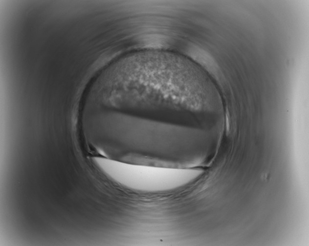 X0000088390483200706051120