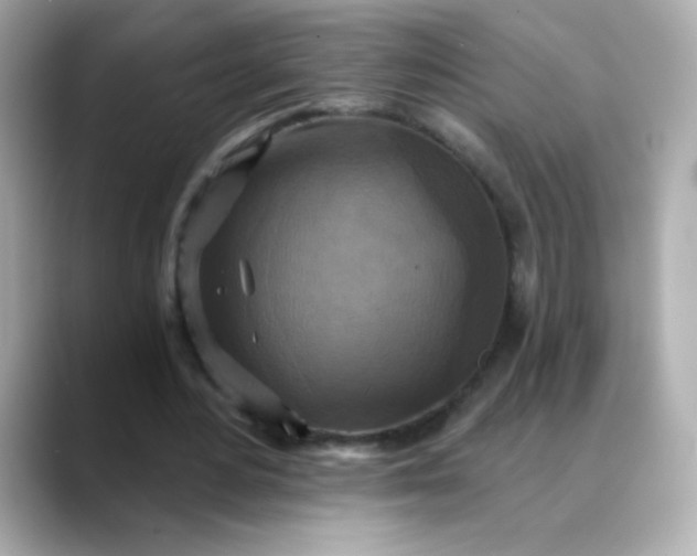 X0000088390484200706051120