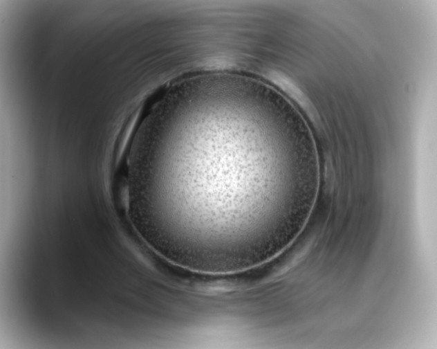 X0000088390485200706051120