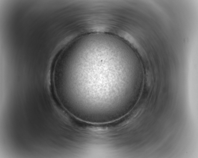 X0000088390486200706051120