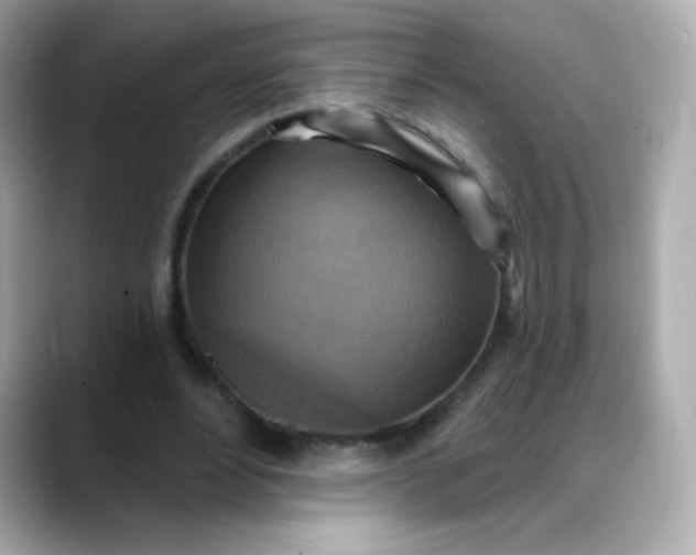 X0000088390488200706051120