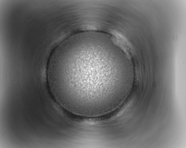 X0000088390489200706051120