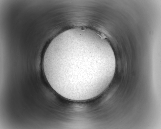 X0000088390490200706051120