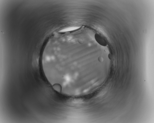 X0000088390491200706051120