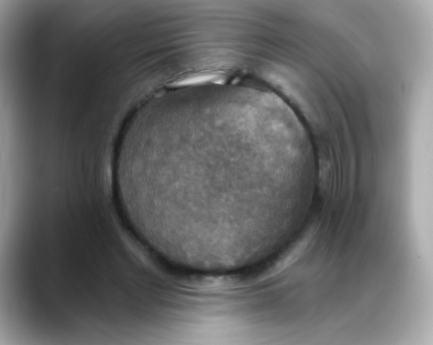 X0000088390493200706051120