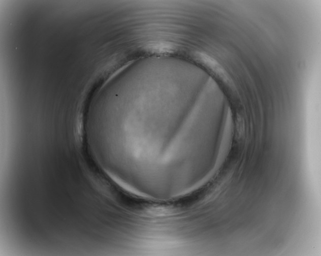 X0000088390494200706051120