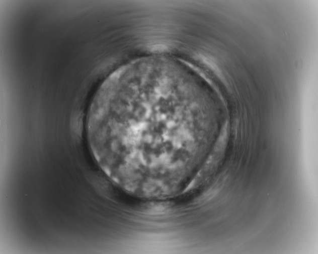 X0000088390495200706051120