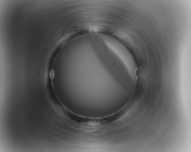 X0000088390496200706051120