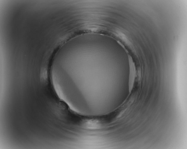 X0000088390500200706051120