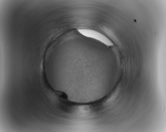 X0000088390501200706051120