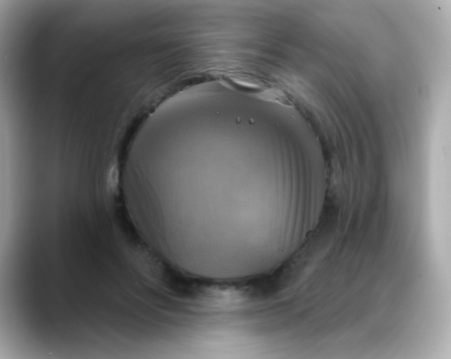 X0000088390502200706051120