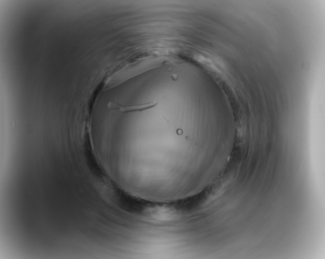 X0000088390503200706051120