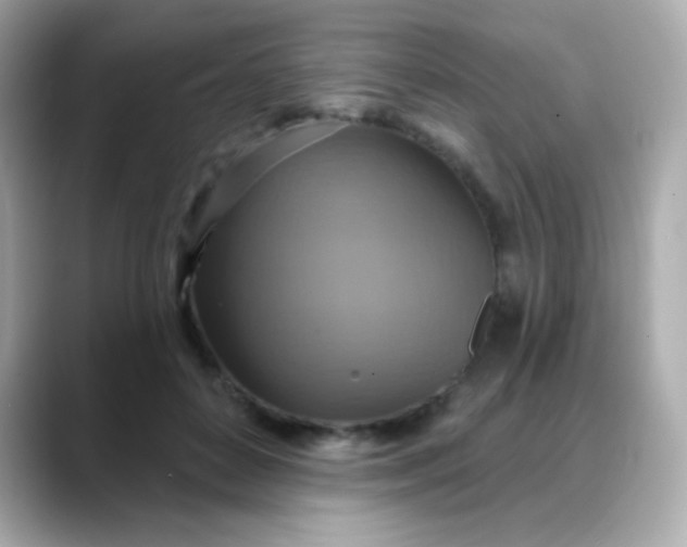 X0000088390504200706051120