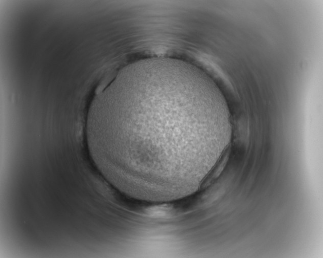 X0000088390505200706051120