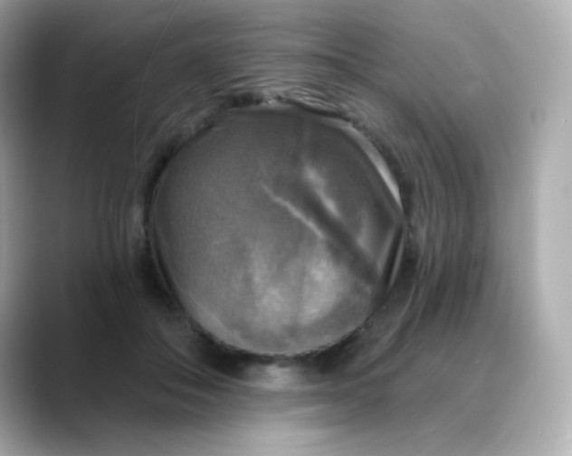 X0000088390506200706051120