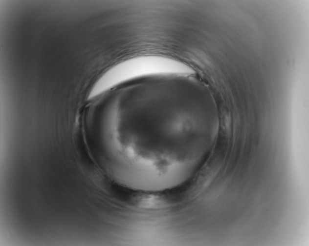 X0000088390507200706051120