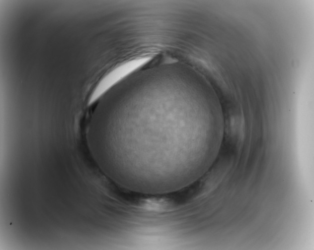 X0000088390508200706051120