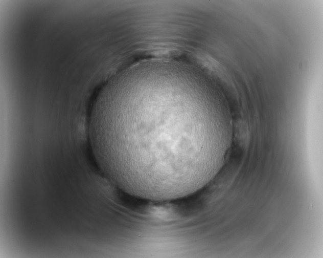 X0000088390510200706051120