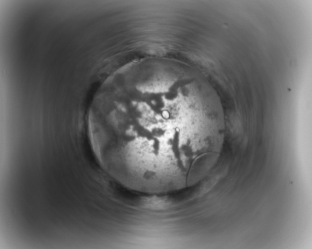 X0000088390511200706051120