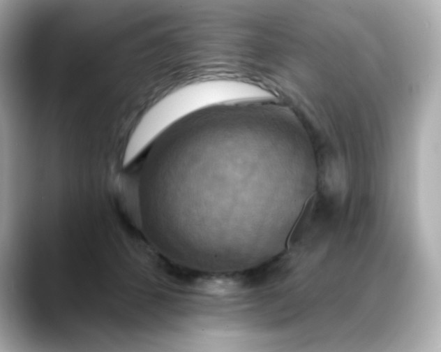 X0000088390512200706051120