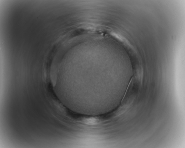 X0000088390513200706051120