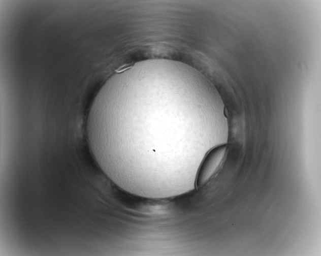 X0000088390514200706051120