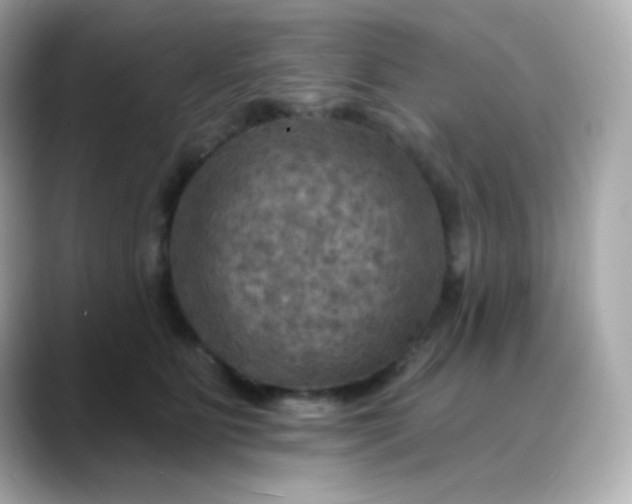 X0000088390515200706051120