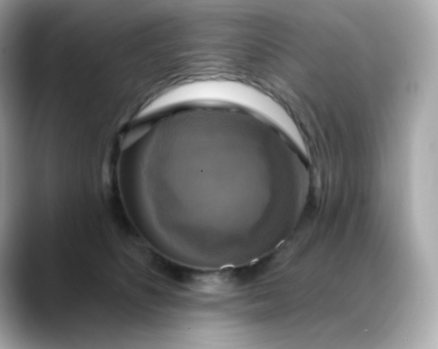 X0000088390516200706051120